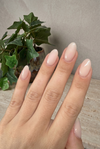 Liquid Builder Gel Summer Pack