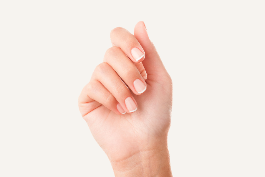 Nageltheorie – Anatomie des Nagels