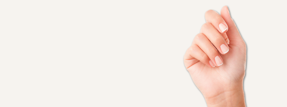 Nageltheorie – Anatomie des Nagels