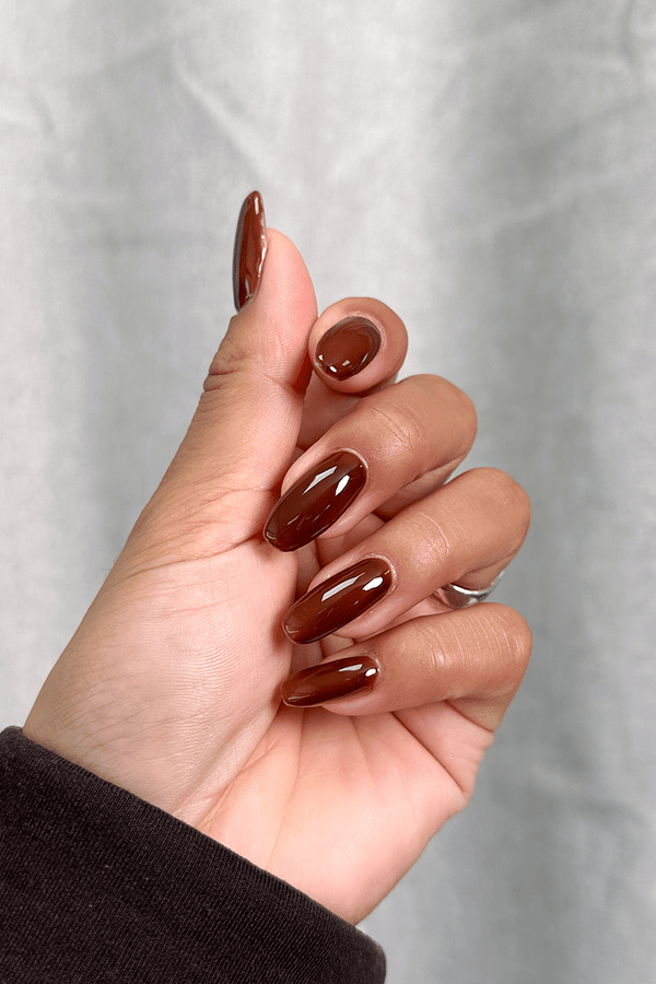 Chestnut · 494