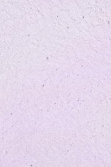 Pearl Powder - Lilla | Nailster Denmark